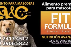 A&C Distribuidores
