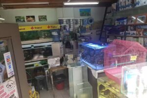 Acuario Center Curico