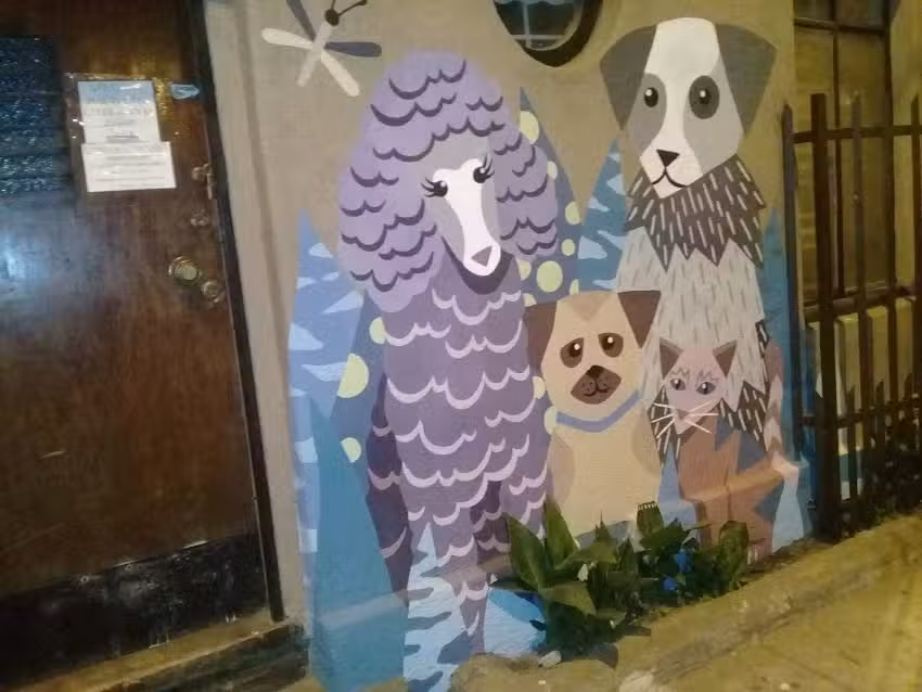 AlfaCanis, consulta veterinaria