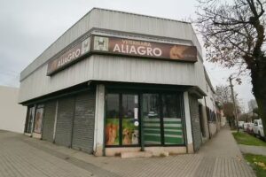 Aliagro, Chill&aacute;n