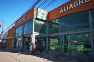 Aliagro, Talca