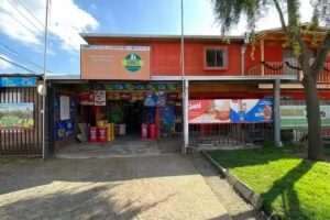 Alimento de mascotas Knnes