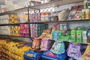 Alimento de Mascotas Koxoxo