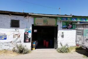 Alimento Para Mascotas Domidog