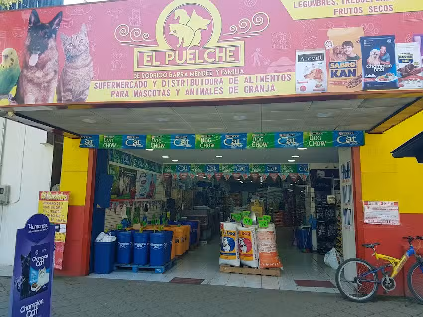 Alimentos De Mascotas &rdquo; Rodrigo Barra &ldquo;