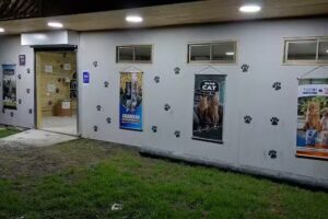 Alimentos para mascotas en el 9