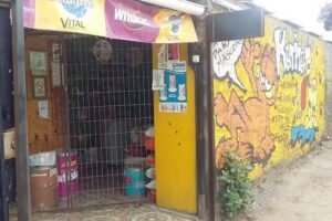 Alimentos Para Mascotas Katita