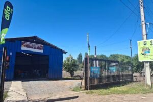 Alimentos para mascotas La Bodeg&uuml;ita de Gatica