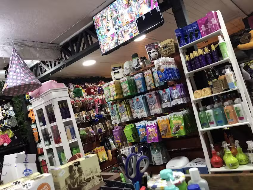 Almapets Boutique & Peluqueria Canina &ndash; Felina
