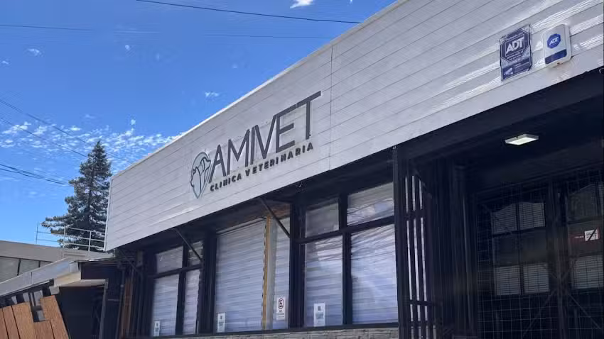 AMIVET Cl&iacute;nica Veterinaria