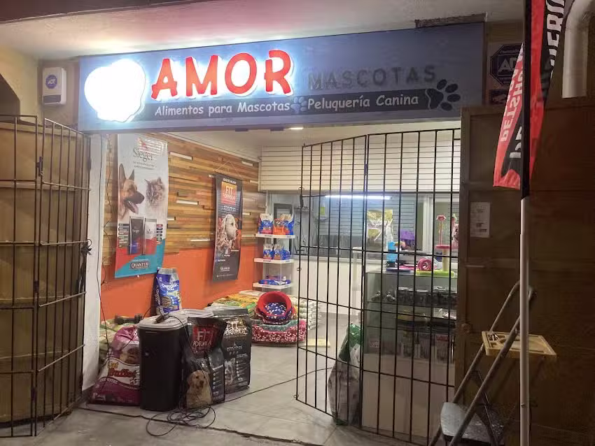 Amor mascotas