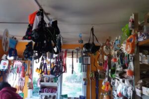 Animal Market Alimento y accesorios para mascotas y animales en general