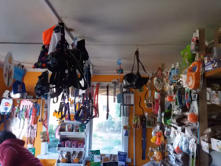 Animal Market Alimento y accesorios para mascotas y animales en general