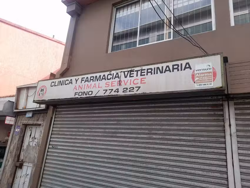 Animal Service