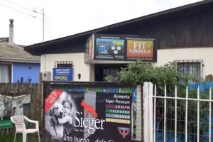 Animal Surf Pichilemu