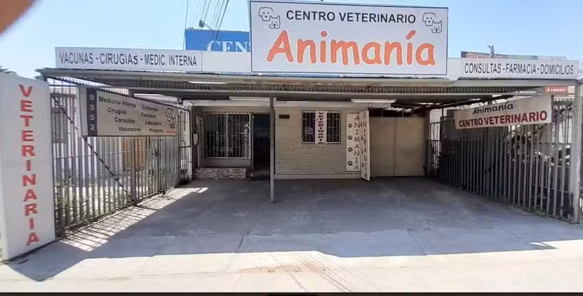Animan&iacute;a Centro Veterinario