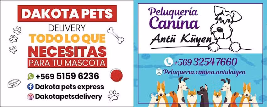 Ant&uuml; K&uuml;yen