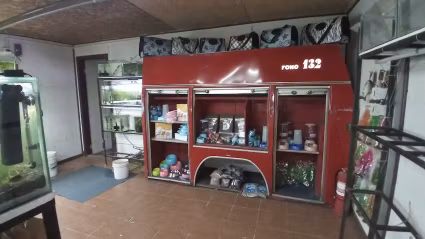 Aqua New Peces y Acuarios