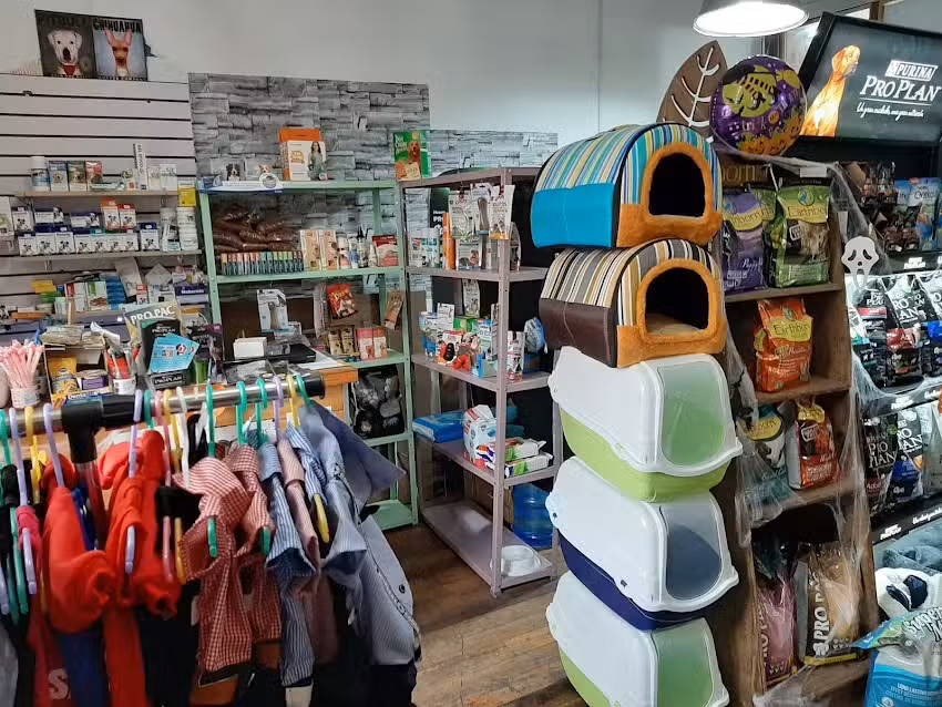 Aqua Pet Santiago Spa