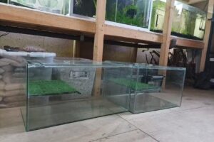 Aquafish Puerto Montt