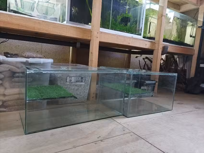 Aquafish Puerto Montt