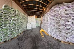 Arena para gatos por mayor