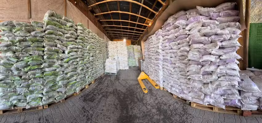 Arena para gatos por mayor