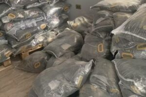 Arenitas Miau Talagante