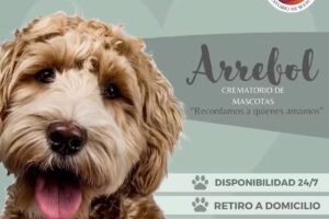 Arrebol Crematorio de Mascotas