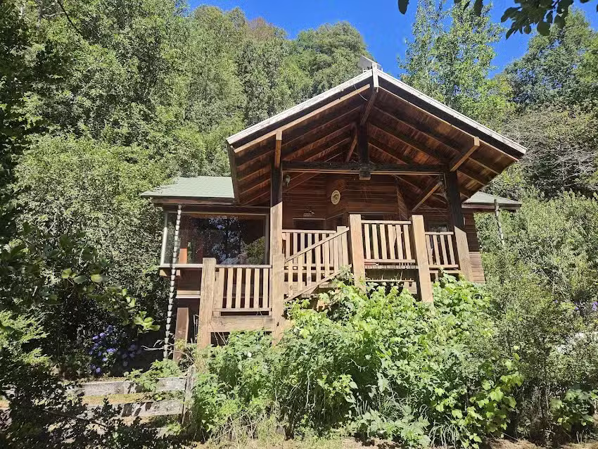 Aurora Austral Patagonia Husky