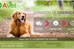 Avet &ndash; Veterinaria &ndash; Cremaci&oacute;n de Mascotas