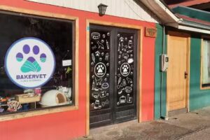 Bakervet Cl&iacute;nica Veterinaria Cochrane