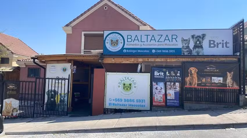 Baltazar Mascotas