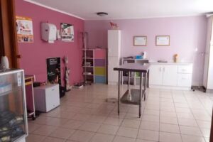 Bigotitos Cl&iacute;nica Veterinaria