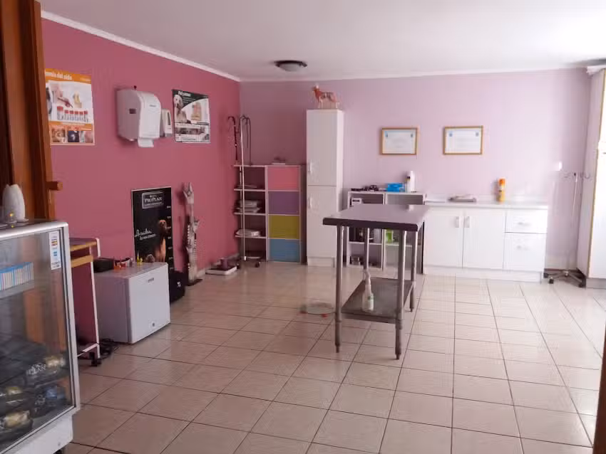 Bigotitos Cl&iacute;nica Veterinaria