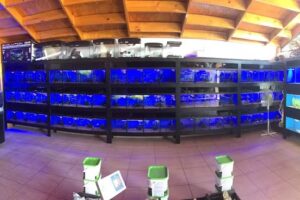 Black Aquarium tienda