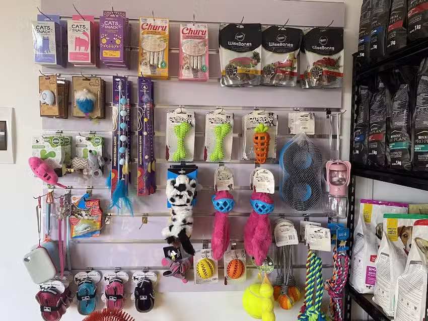 BlueMoon Pet Peluquer&iacute;a Canina y Felina