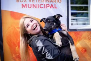 Box veterinario municipal chiguayante