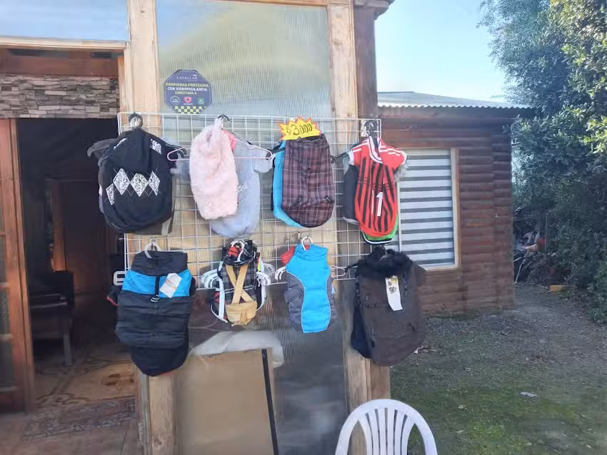 Bymagavi la boutique de tu mascota