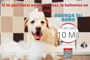 Caminando por el Mundo