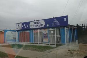 Can & Cat Cl&iacute;nica veterinaria