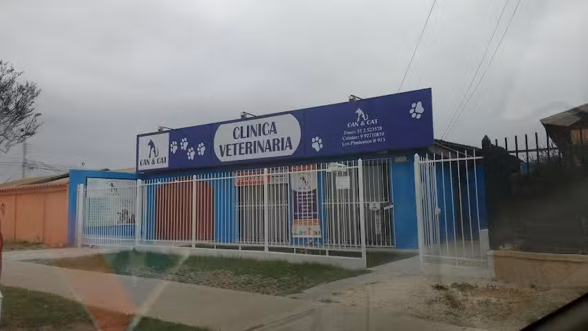 Can & Cat Cl&iacute;nica veterinaria