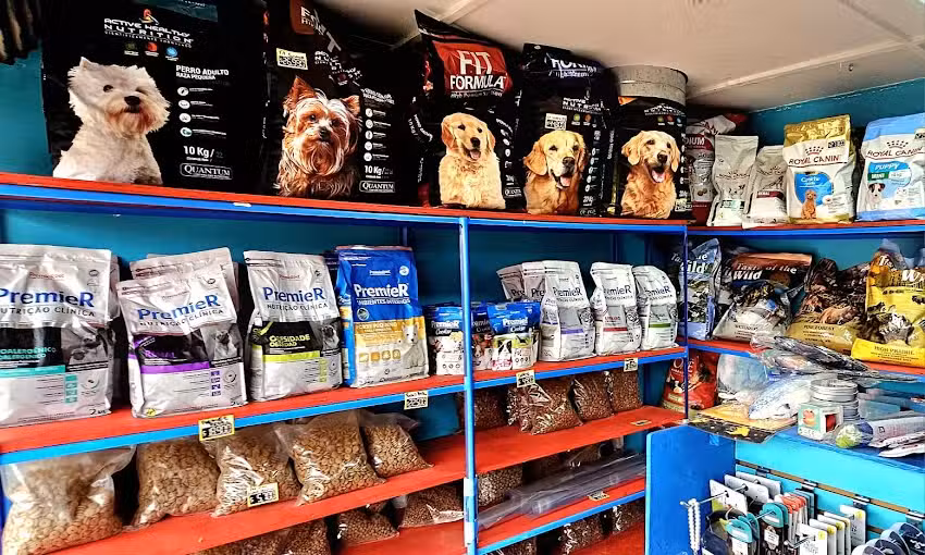 Capit&aacute;n mascota