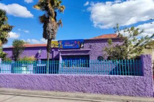 Casa de las Mascotas