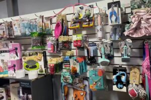 casa pets bull aconcagua