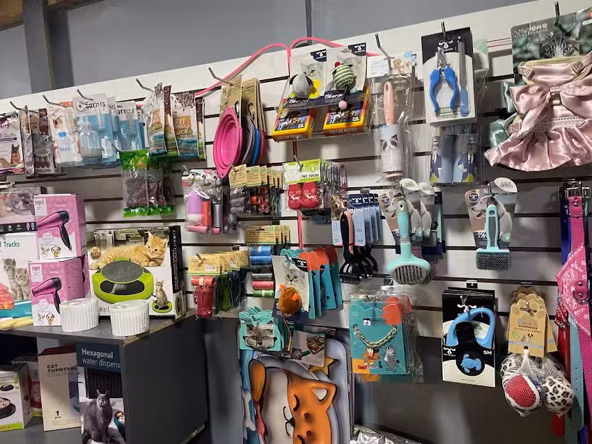 casa pets bull aconcagua