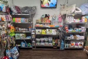 Cat Republic Pet Shop