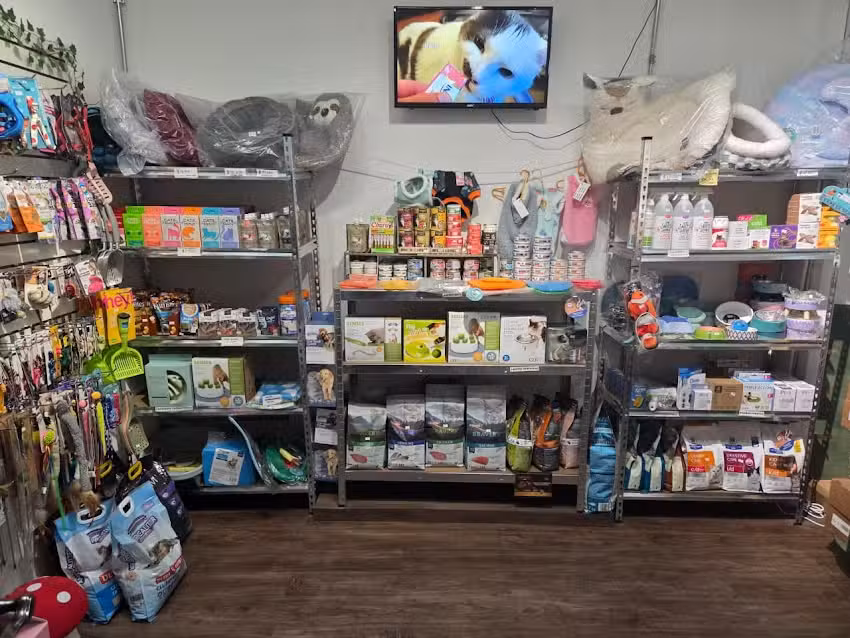 Cat Republic Pet Shop