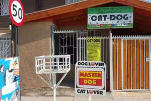 Catdog Alimentos de Mascotas