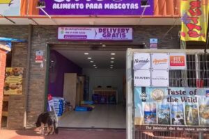 Catdog Food Delivery